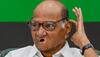 No Enthusiasm Seen Among People After Mahayuti's Massive Victory: Sharad Pawar 