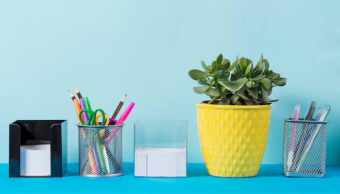 Best Desk Organizers to Enhance Your Productivity