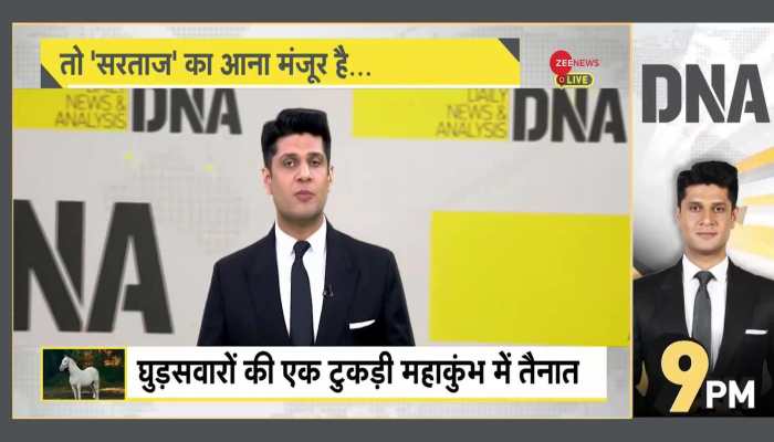 DNA: Sarataj Horse Gains Spotlight Ahead of Mahakumbh