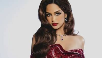 Baaghi 4: Beauty Queen Harnaaz Sandhu’s Bollywood Debut CONFIRMED!