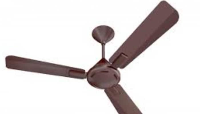 Shop and Get Your Ceiling Fan at a Discounted Price on Amazon 
