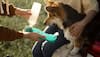 Deworming