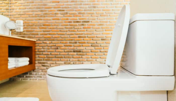 Buying the Perfect Toilet Cover