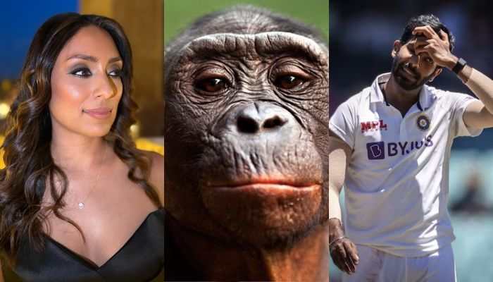 Racism Against Jasprit Bumrah In Australia: English Commentator Isa Guha Says THIS After Calling India Pacer 'Primate' Racism Against Jasprit Bumrah In Australia: English Commentator Isa Guha Says THIS After Calling India Pacer 'Primate'