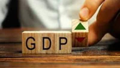 India's Trend GDP Growth To Move Closer To 6.5-7 Per Cent In FY25: Crisil