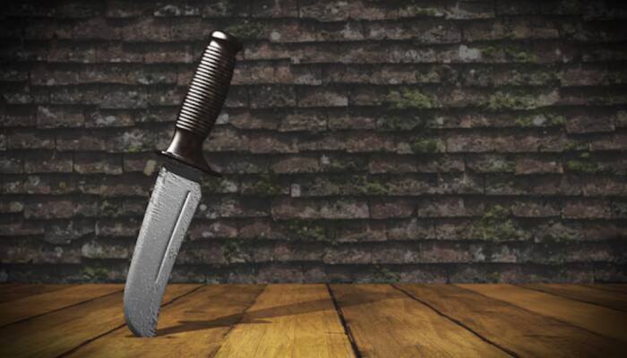 Top Kitchen Knives for Chopping and Cutting