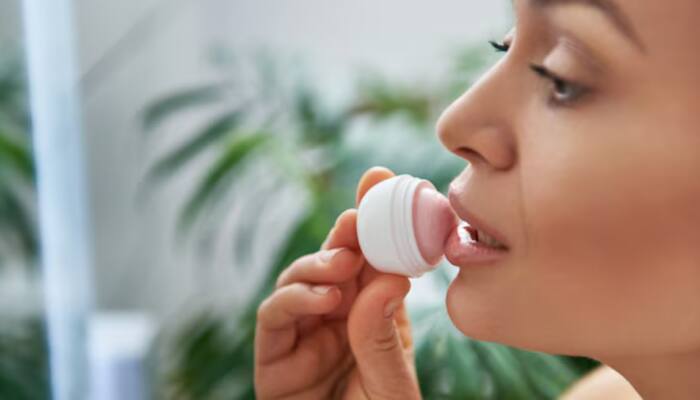 Top Lip Balms for Hydrated, Soft, and Protected Lips