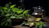 The Power Of Lemon Balm: Uses, Benefits, And How To Incorporate It Into Your Life