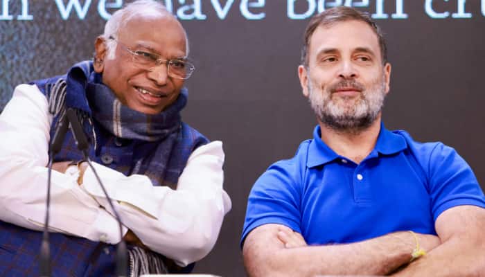 FIR On Rahul Gandhi For Defending Ambedkar’s Legacy ‘Badge Of Honor’: Congress