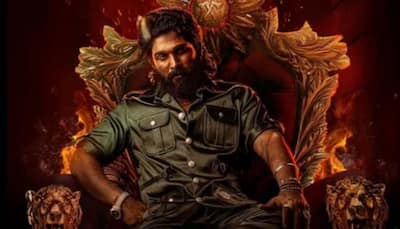 Allu Arjun's Pushpa 2: The Rule Creates History As Highest-Grossing Hindi Film With ₹632.50 Crore Net