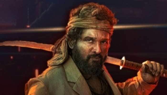  Allu Arjun's Pushpa 2: The Rule Scores Rs 20.5 Cr On 3rd Saturday,DEETS