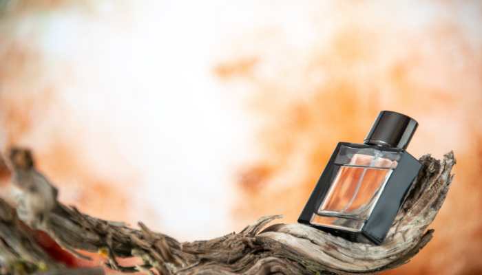 Must Buy These Best Women's Perfumes to Enhance Your Elegance