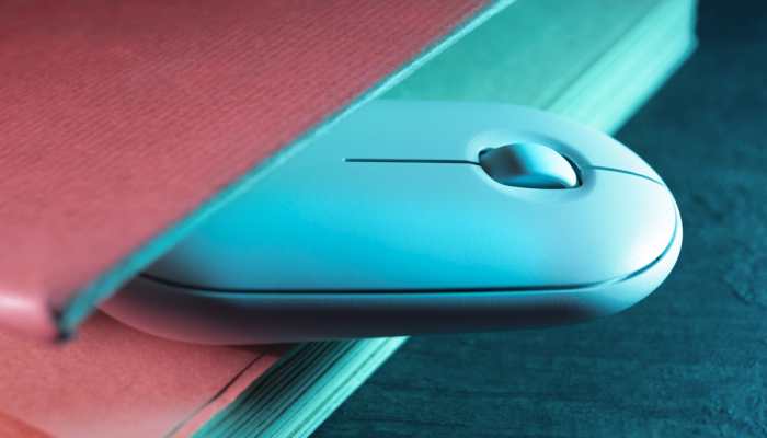 Buy These Top Mouse for Work and Play