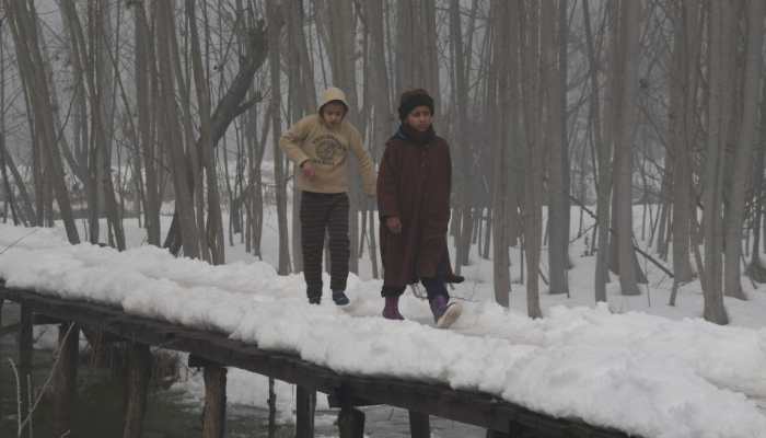 Severe Cold Wave To Grip Jammu and Kashmir, Temperatures To Drop 2-4 Degrees Celsius 