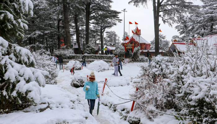 Shimla, Srinagar Shiver Amid Cold Wave But Tourists Miss 'White Christmas’ Shimla, Srinagar Shiver Amid Cold Wave But Tourists Miss 'White Christmas’