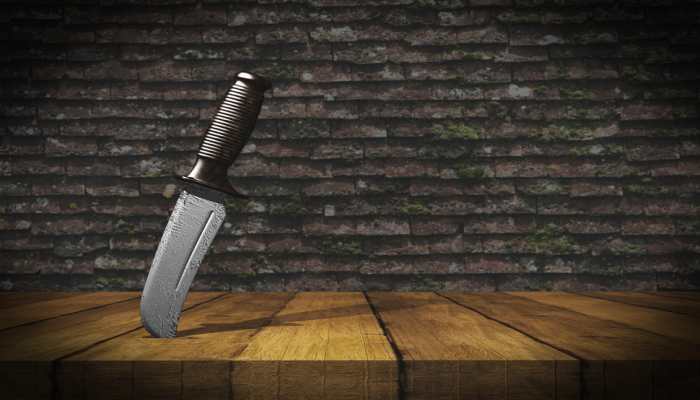 Buy These Essential Kitchen Knives for Every Home Chef