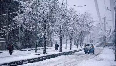 Snowfall Brings Cheer to Kashmir, Ladakh, and Chenab Valley Amid Western Disturbance