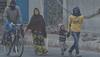 Weather Update: With Severe Cold Wave, North India To Enter 2025- Check IMD's Full Forecast