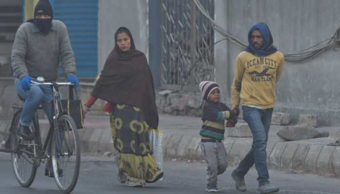 Weather Update: With Severe Cold Wave, North India To Enter 2025- Check IMD's Full Forecast