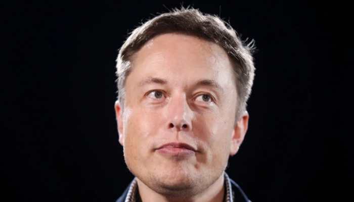 Elon Musk Causes Uproar For Backing Germany's Far-Right Party Ahead Of Key Elections Elon Musk Causes Uproar For Backing Germany's Far-Right Party Ahead Of Key Elections