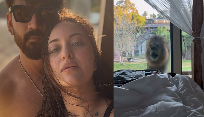 Sonakshi Sinha & Zaheer Iqbal Wake Up By A Lion Roaring Near Their Bed; Video Goes Viral Sonakshi Sinha & Zaheer Iqbal Wake Up By A Lion Roaring Near Their Bed; Video Goes Viral