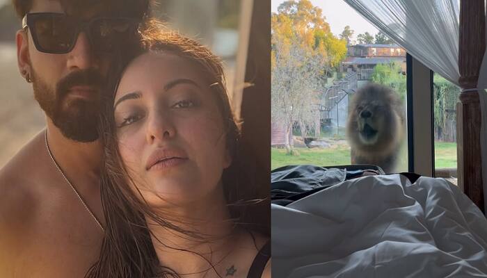 Sonakshi Sinha &amp; Zaheer Iqbal Wake Up By A Lion Roaring Near Their Bed; Video Goes Viral