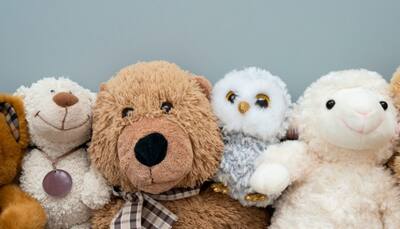 Buying Plushies: Find Your Perfect Companion