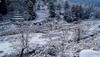 winters