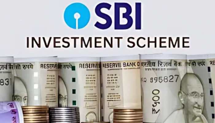 SBI Launches New FD Schemes For Minors And Senior Citizens Aged 80+; Check Eligibility And New Rates 