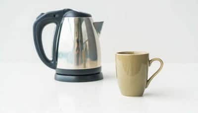 Buy These Ultimate Best Electric Kettles of 2025