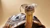 Stylish Tortoise and Clubmaster Glasses: Top Picks