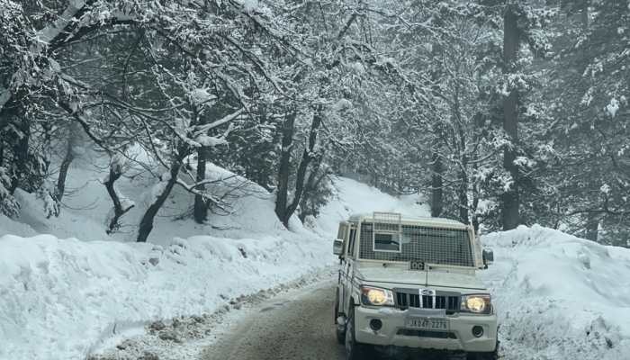 Snowfall Turns Game Changer: Over 12,000 Tourists Visit Kashmir In First Week Of The Year Snowfall Turns Game Changer: Over 12,000 Tourists Visit Kashmir In First Week Of The Year
