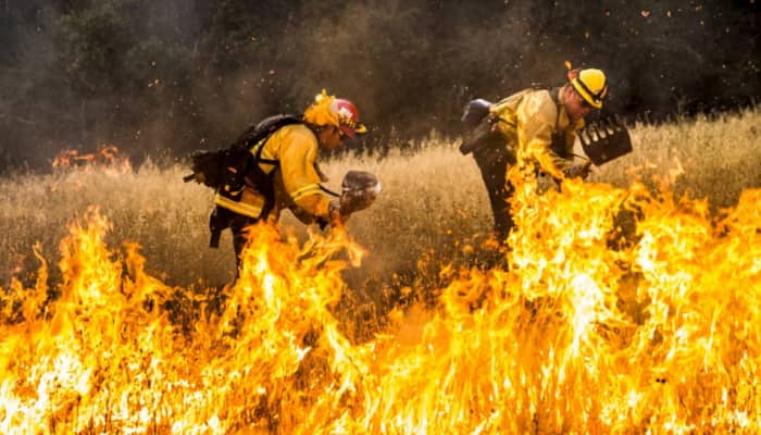 Climate Emergency: 2024’s Record Heat Pushes Planet Beyond 1.5°C