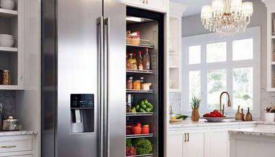 Amazon Great Republic Day Sale: Best Double Door Refrigerator Offers 