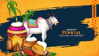 Happy Pongal 2025: Top 50 Best Wishes, Messages, And Quotes To Share With Family And Friends
