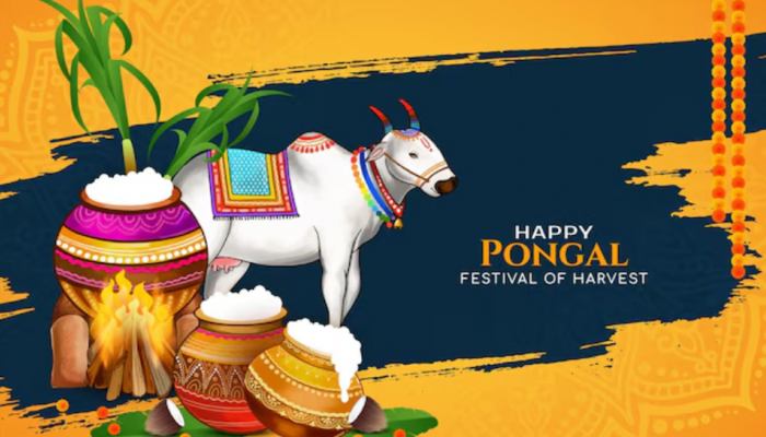 Happy Pongal 2025: Top 50 Best Wishes, Messages, And Quotes To Share With Family And Friends Happy Pongal 2025: Top 50 Best Wishes, Messages, And Quotes To Share With Family And Friends