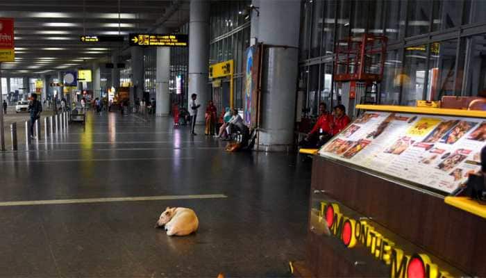 Business Idea 2025: Set Up Food & Beverages Vending Machine In Jewar Airport