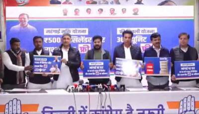 Free Electricity To LPG Cylinders: Congress Launches 'Mehngai Mukt' Yojana To Counter AAP In Delhi Polls
