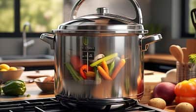 One-Pot Wonders: Pressure Cookers in the Great Republic Day Sale