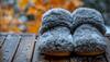 Amazon Republic Sale: The Best Unisex Winter Slippers for Comfort and Style