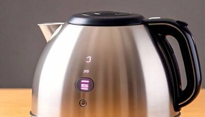The Great Republic Day Sale: Electric Kettle Under Budget
