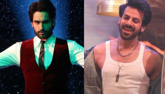 Bigg Boss Season 18 Grand Finale: Top Two Finalists REVEALED