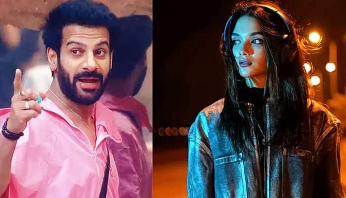 Who Is Romaisa Khan? Meet Pakistani Actress Who Called 'Bigg Boss 18', 'The Karan Veer Mehra Show'