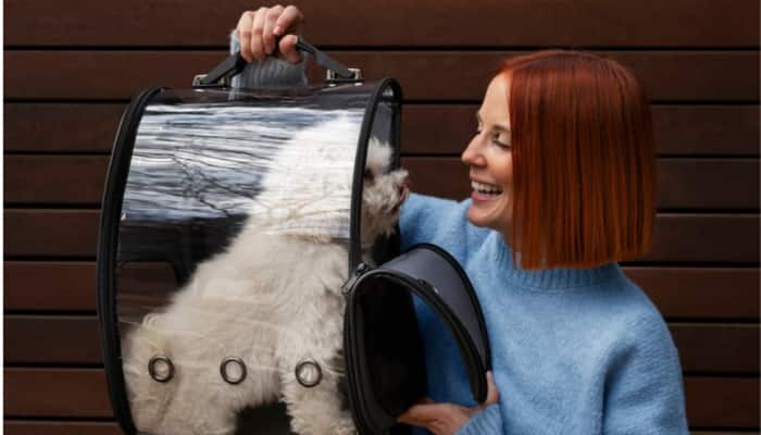 The Ultimate Pet Travel Companion: Best Pet Carrier Bags for Travel