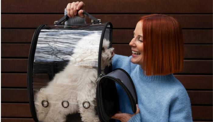 The Ultimate Pet Travel Companion: Best Pet Carrier Bags for Travel