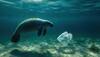 Global Fight Against Plastic Pollution And Climate Change: 7 New Countries Join WEF’s Circular Economy Initiative