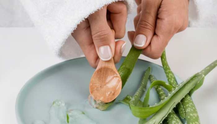 Aloe Vera: Your Ultimate Guide To Healing, Hydrating, And Glowing Skin