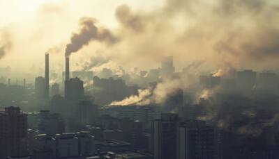 Microbes That Clean Our Air: Researchers Uncover Key Role In Reducing Deadly Carbon MonoxideMicrobes That Clean Our Air: Researchers Uncover Key Role In Reducing Deadly Carbon Monoxide