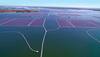 Harnessing Renewable Power: Floating Solar Power by a Giant