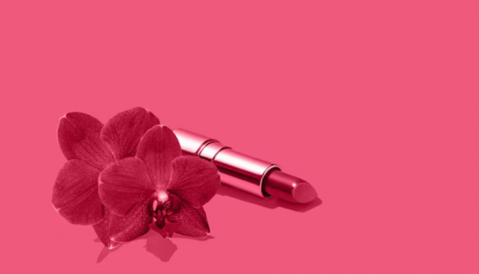 The Ultimate Guide to Long-Lasting Lipsticks: Perfect Shades for Every Mood The Ultimate Guide to Long-Lasting Lipsticks: Perfect Shades for Every Mood